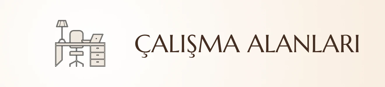 Çalışma Alanları